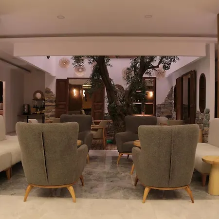 Uno Elegance فندق