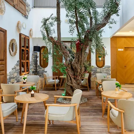 Uno Elegance * Gulluk