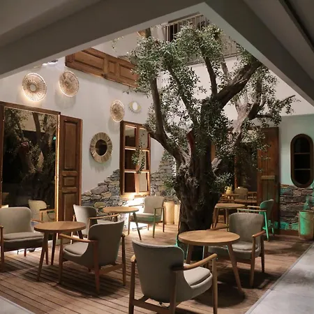 فندق Uno Elegance *