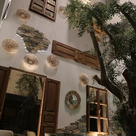 فندق Uno Elegance